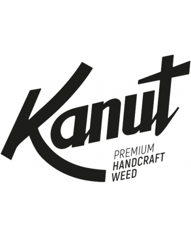 Kanut